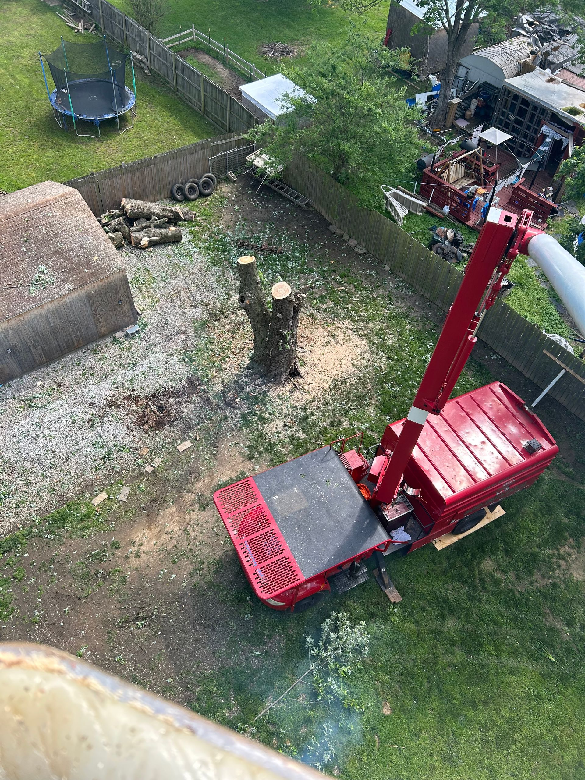 Tree Cutter | West Point, KY | L & S Tree Service