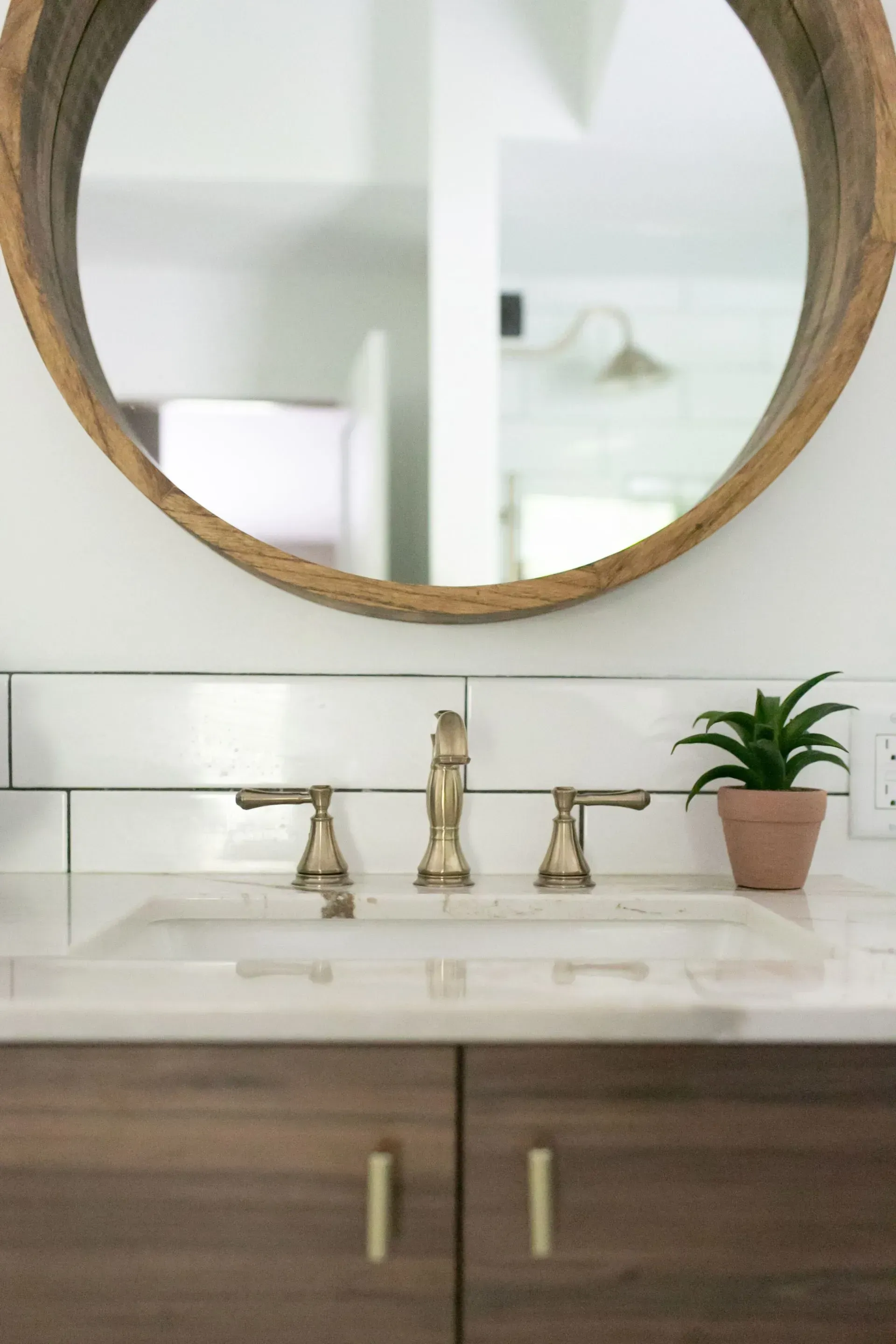A bathroom sink with a round mirror above it and a potted plant.