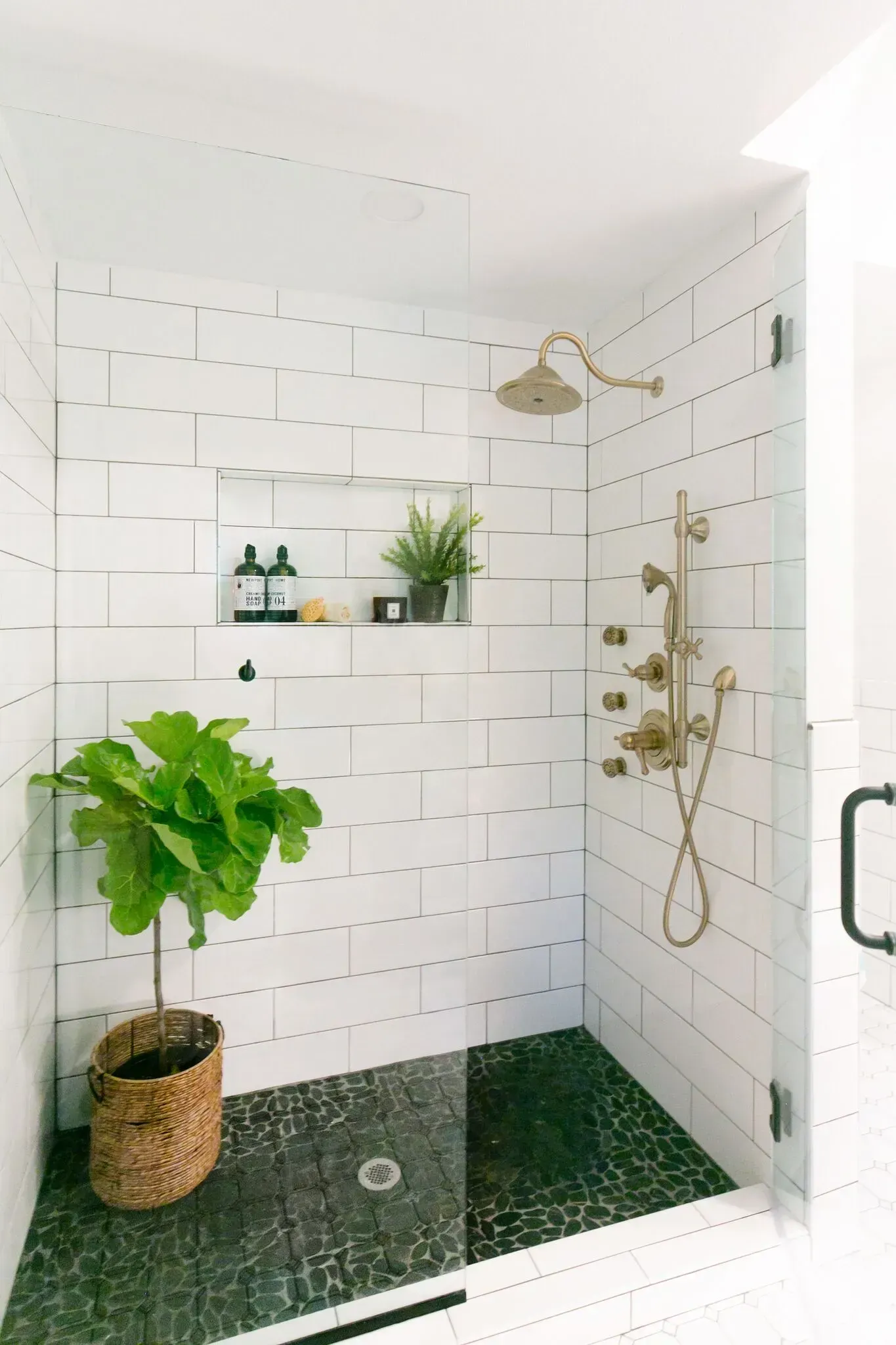 A bathroom with a walk in shower and a plant in the shower.