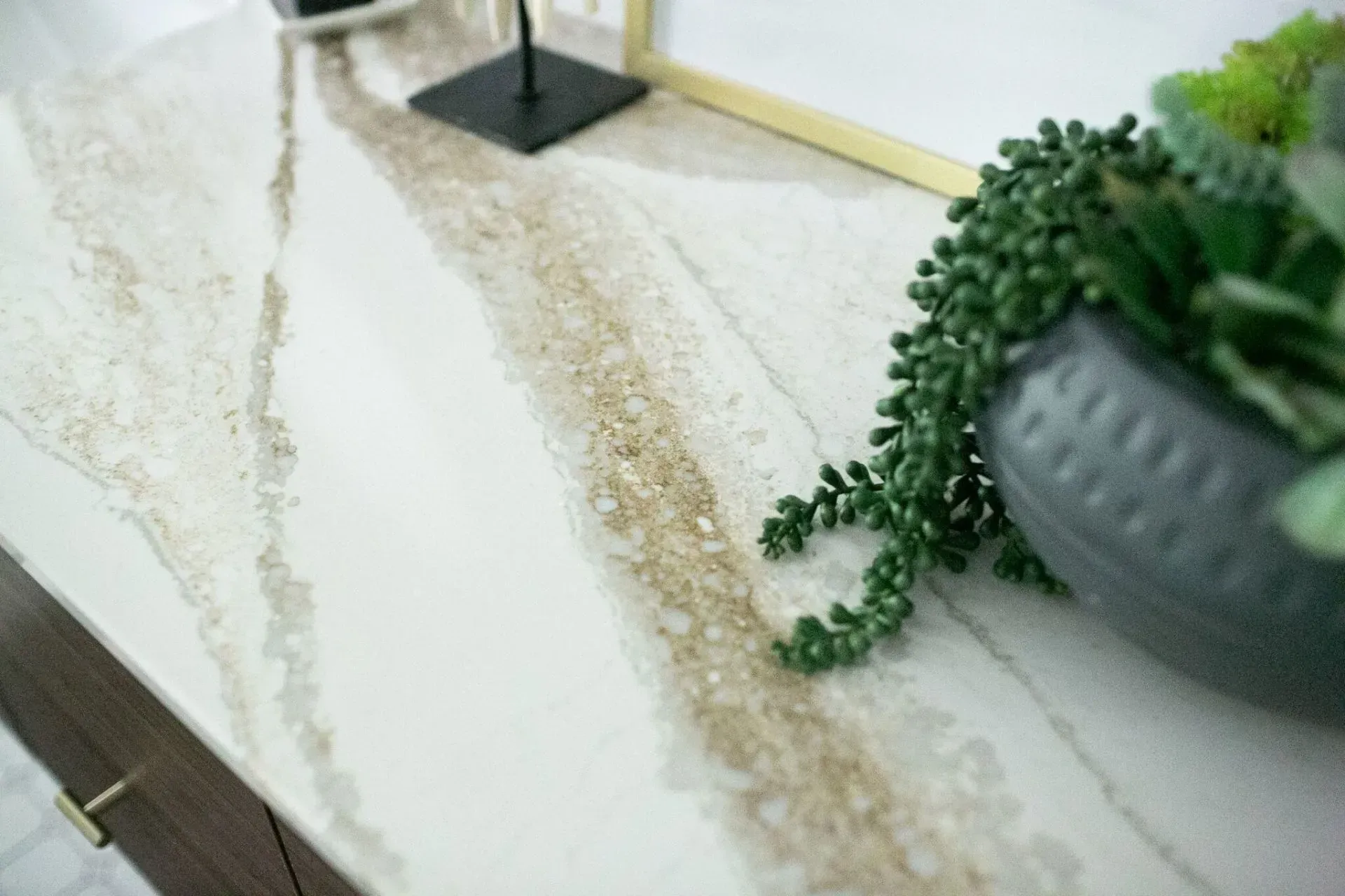 A close up of a counter top with a potted plant on it.