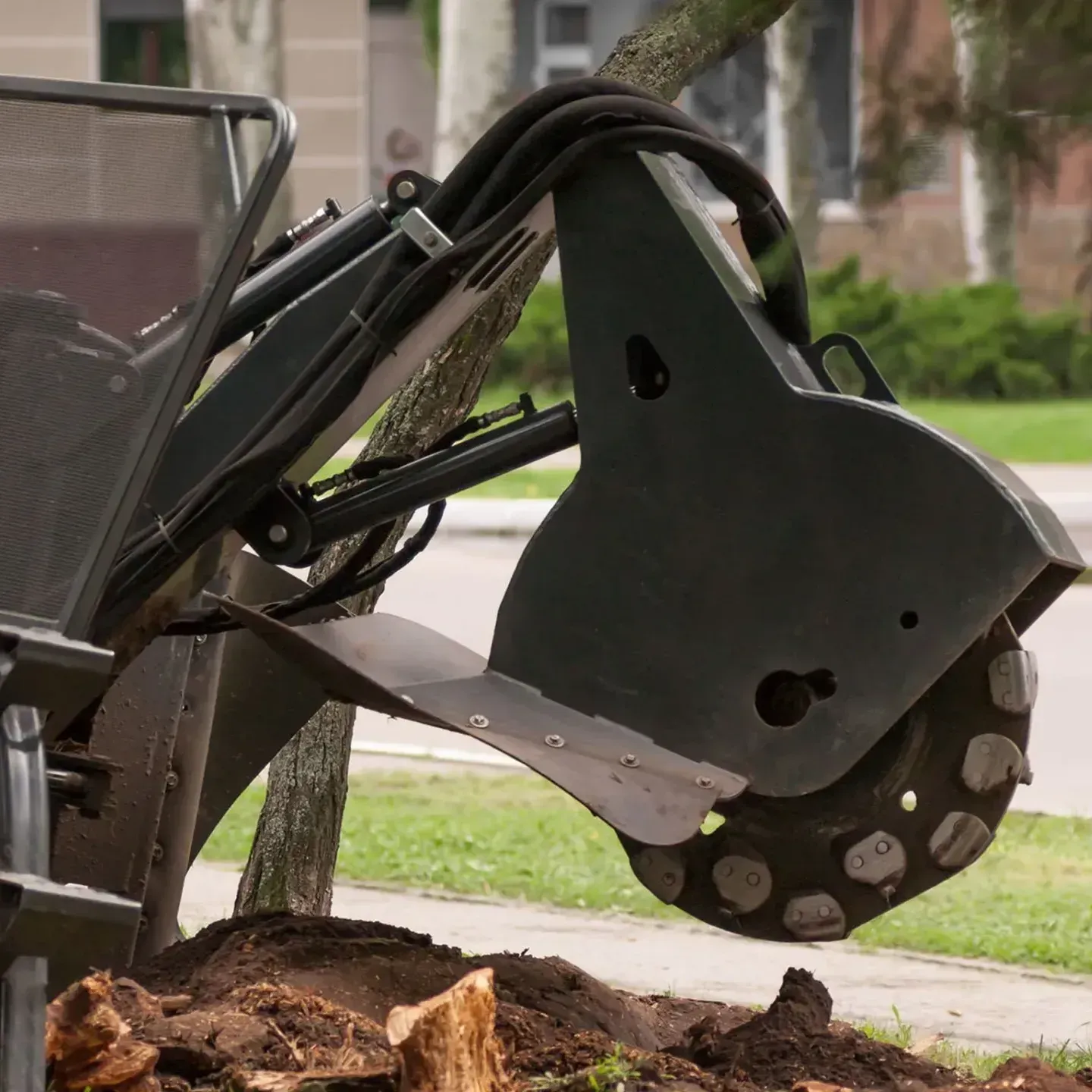 A stump grinder is being used to remove a tree stump