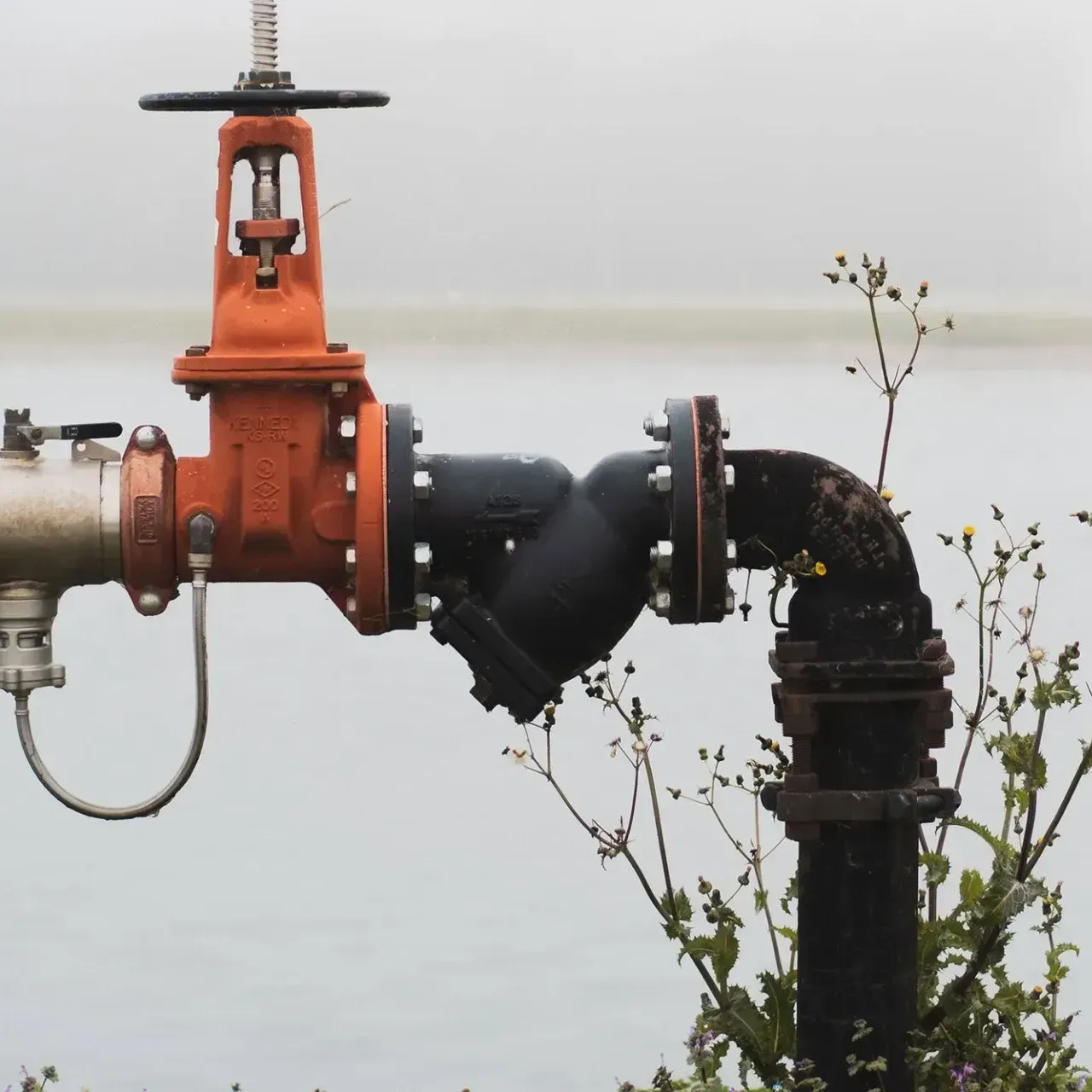 A pipe with a valve that says ' stainless steel ' on it