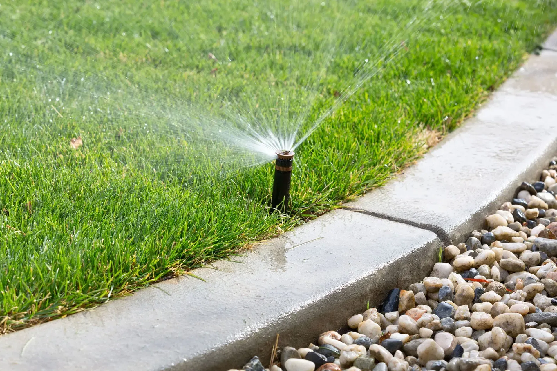 A sprinkler is spraying water on a lush green lawn in front of a house.