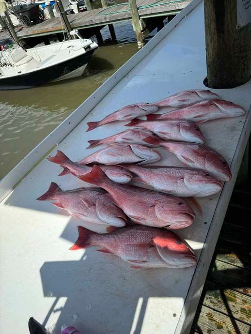 A bunch of red fish are sitting on top of a white table.