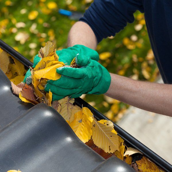 Residential Gutter Cleaning