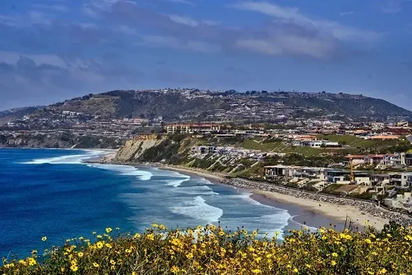 a view of a beach with yellow flowers in the foreground and a city in the background .