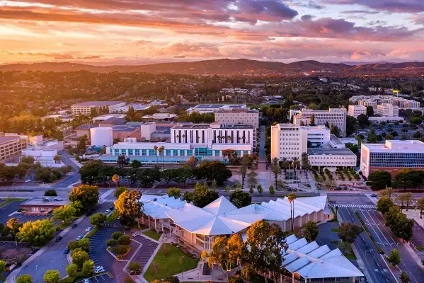 an aerial view of a city with buildings and trees at sunset .