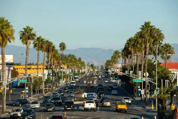 a busy street filled with cars and palm trees on a sunny day .