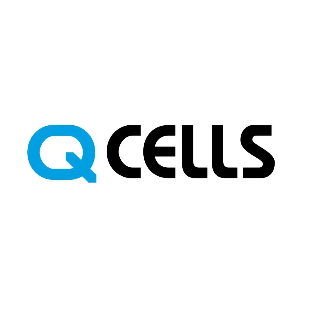 Q Cells