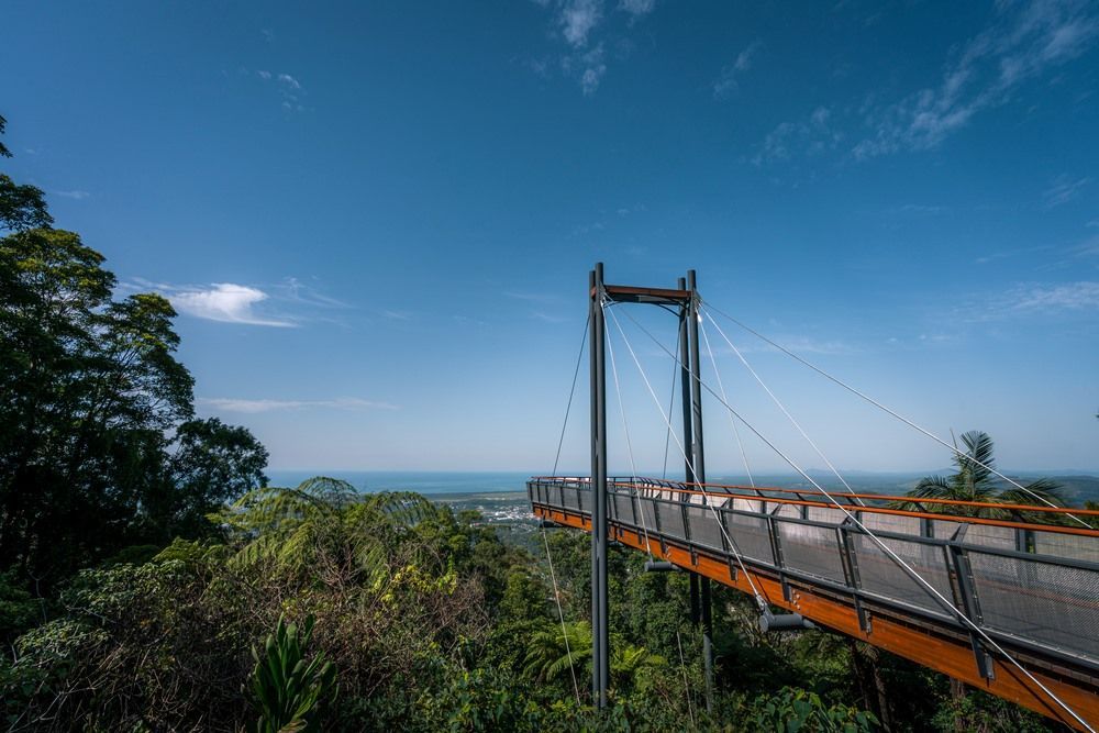 A Bridge Over A Lush Green Forest With A View Of The Ocean — Mackies In Coffs Harbour, NSW