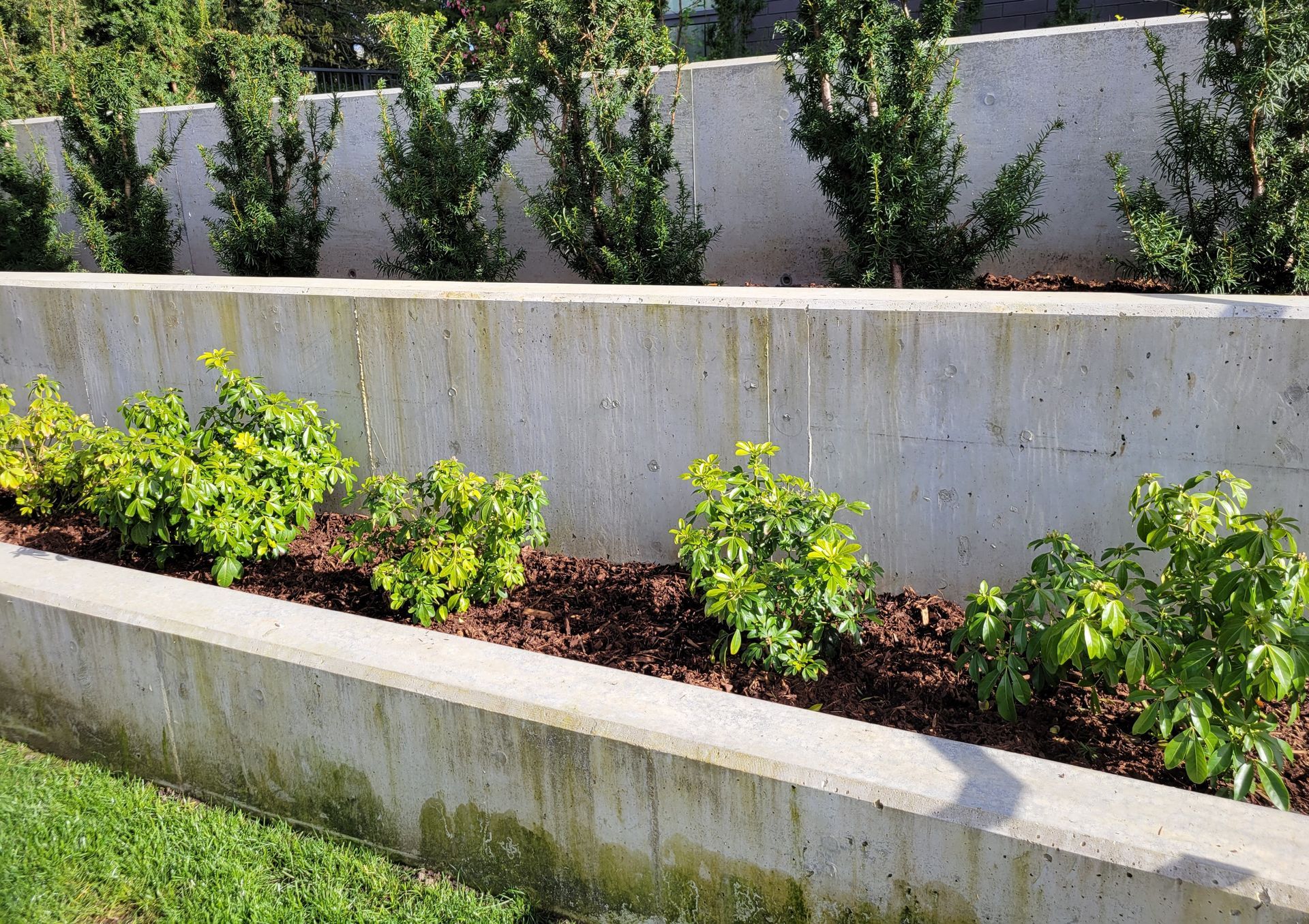 poured concrete retaining wall