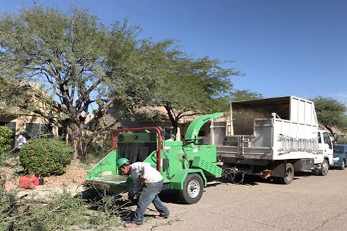 A tree service worker feeds branches into a wood chipper. A truck with a debris box is parked nearby in a residential area.