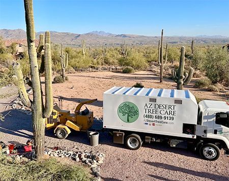 A tree care truck and chipper in a desert setting with cacti and distant mountains. The truck has the company's logo.