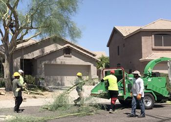 A group of people are working on a tree in front of a house.