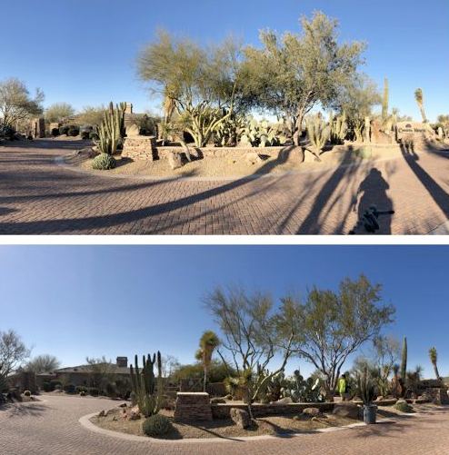 Two pictures of a desert landscape with trees and cactus