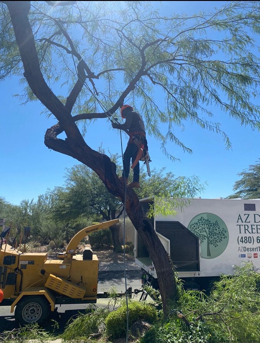 Arborist in safety gear trimming a tree near a wood chipper and truck with 