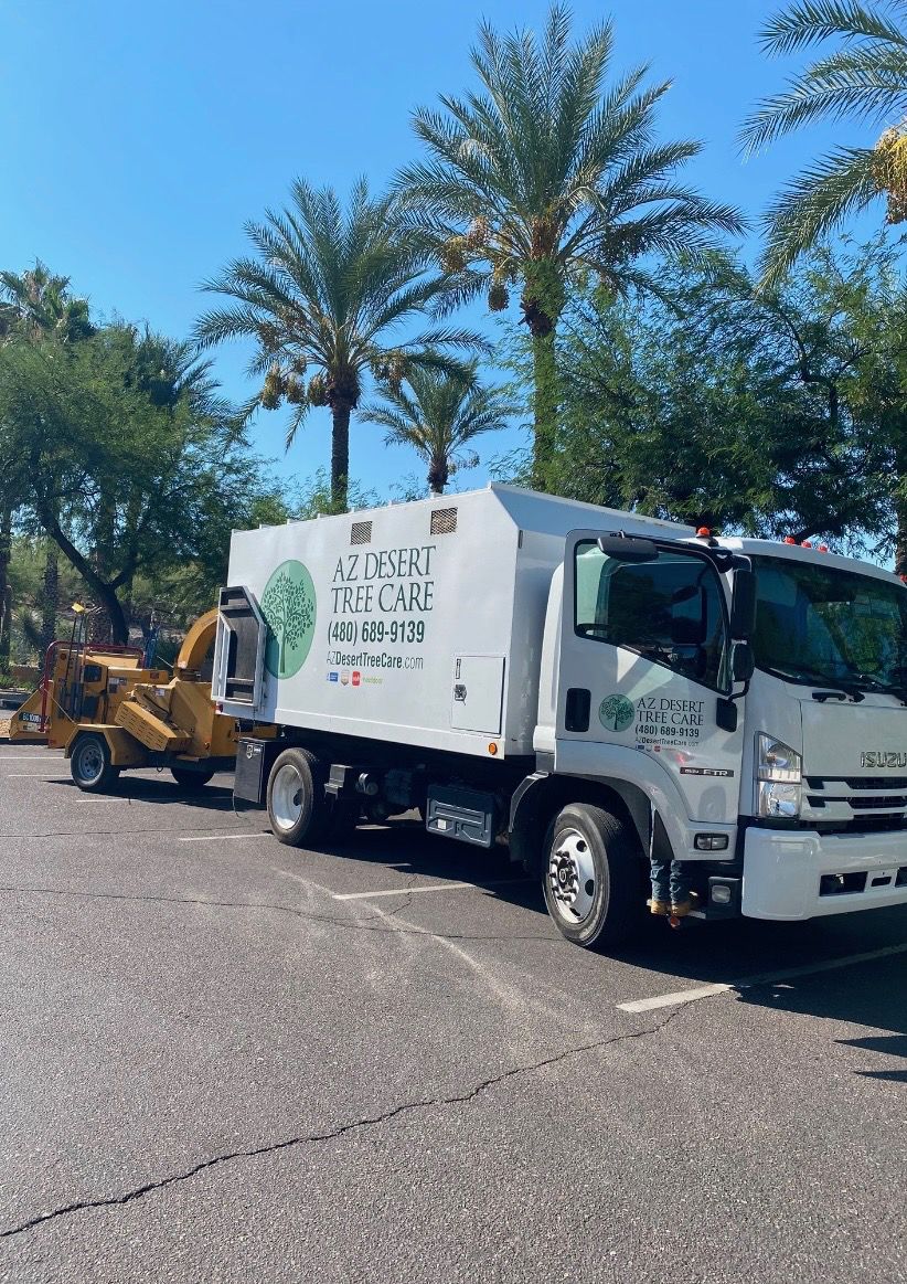 White tree service truck with a yellow wood chipper in front of palm trees and a clear blue sky.