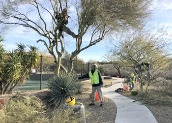 Person in neon vest and orange pants working on a landscaped path with trees and potted plants.