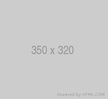 A white background with 350 x 320 written on it.