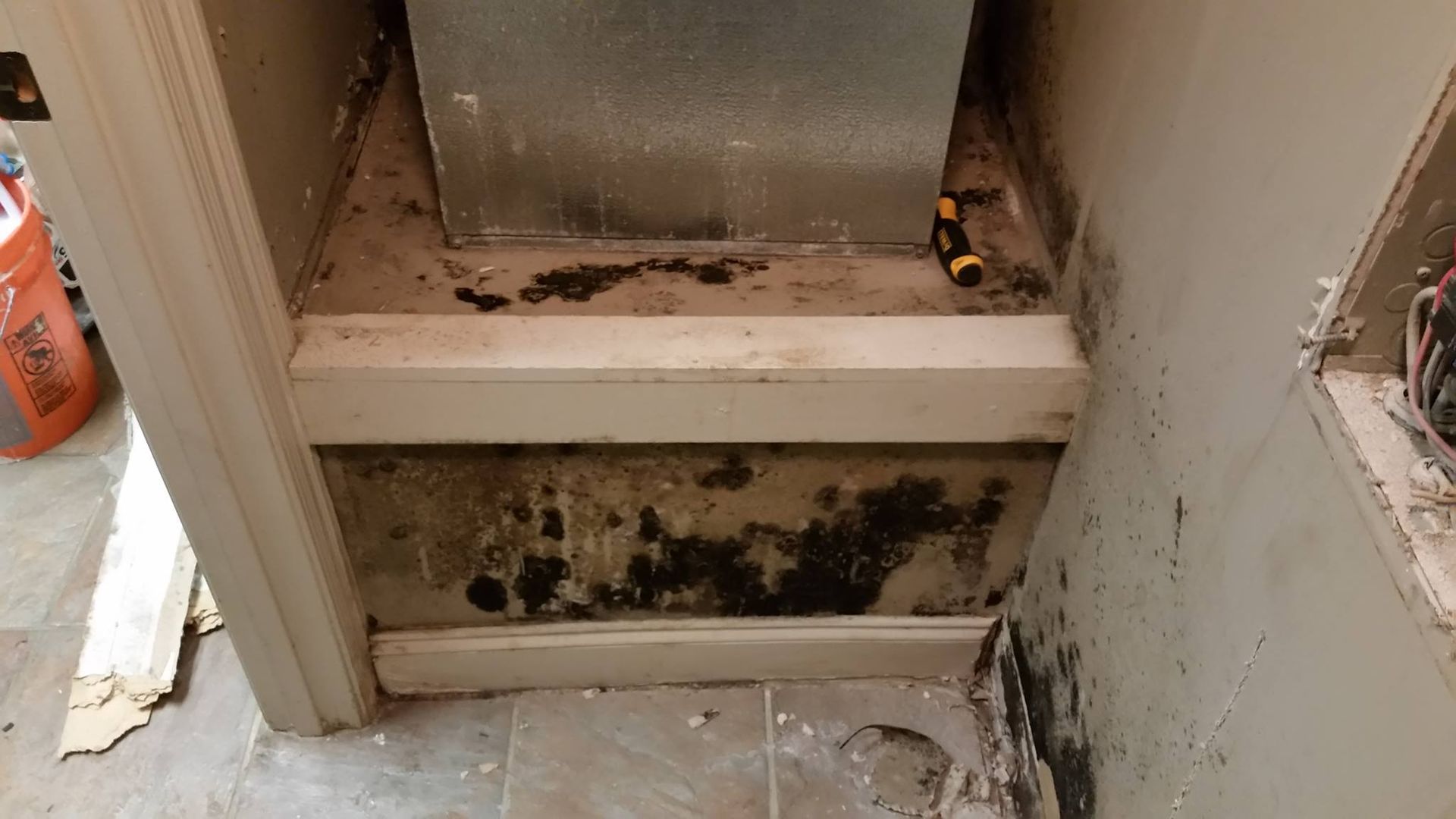 A dirty corner of a room with mold on the wall and floor.