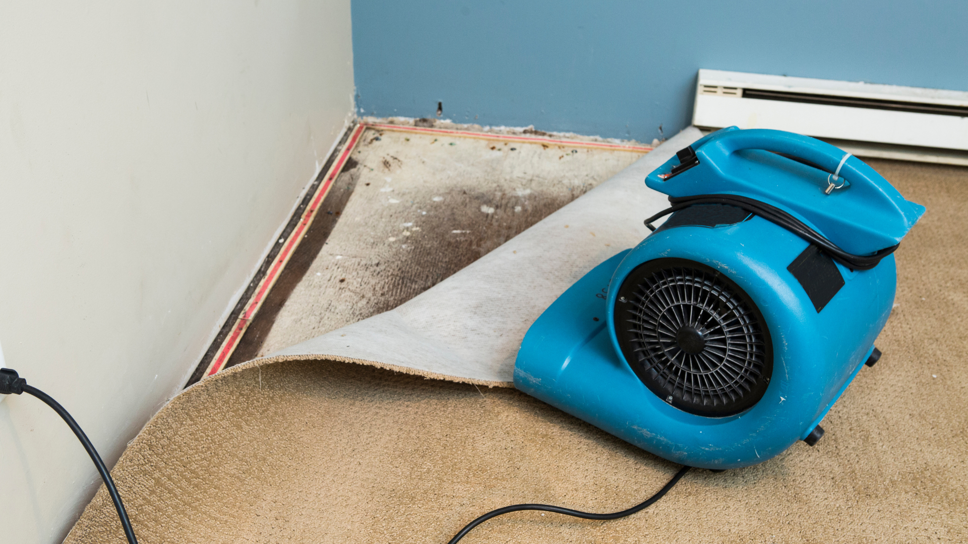A person is holding a hose with a brush attached to it.