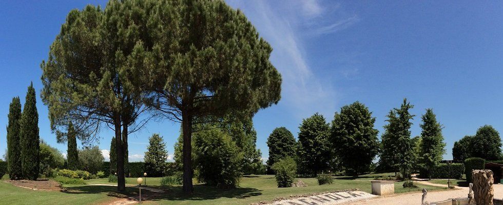 ristorante per meeting aziendali