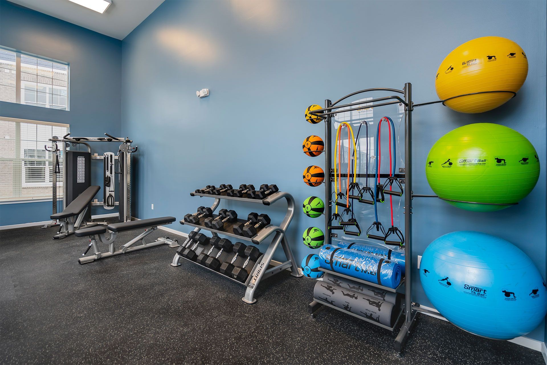 Blue-walled community gym with dumbbells, weight rack, and exercise balls.