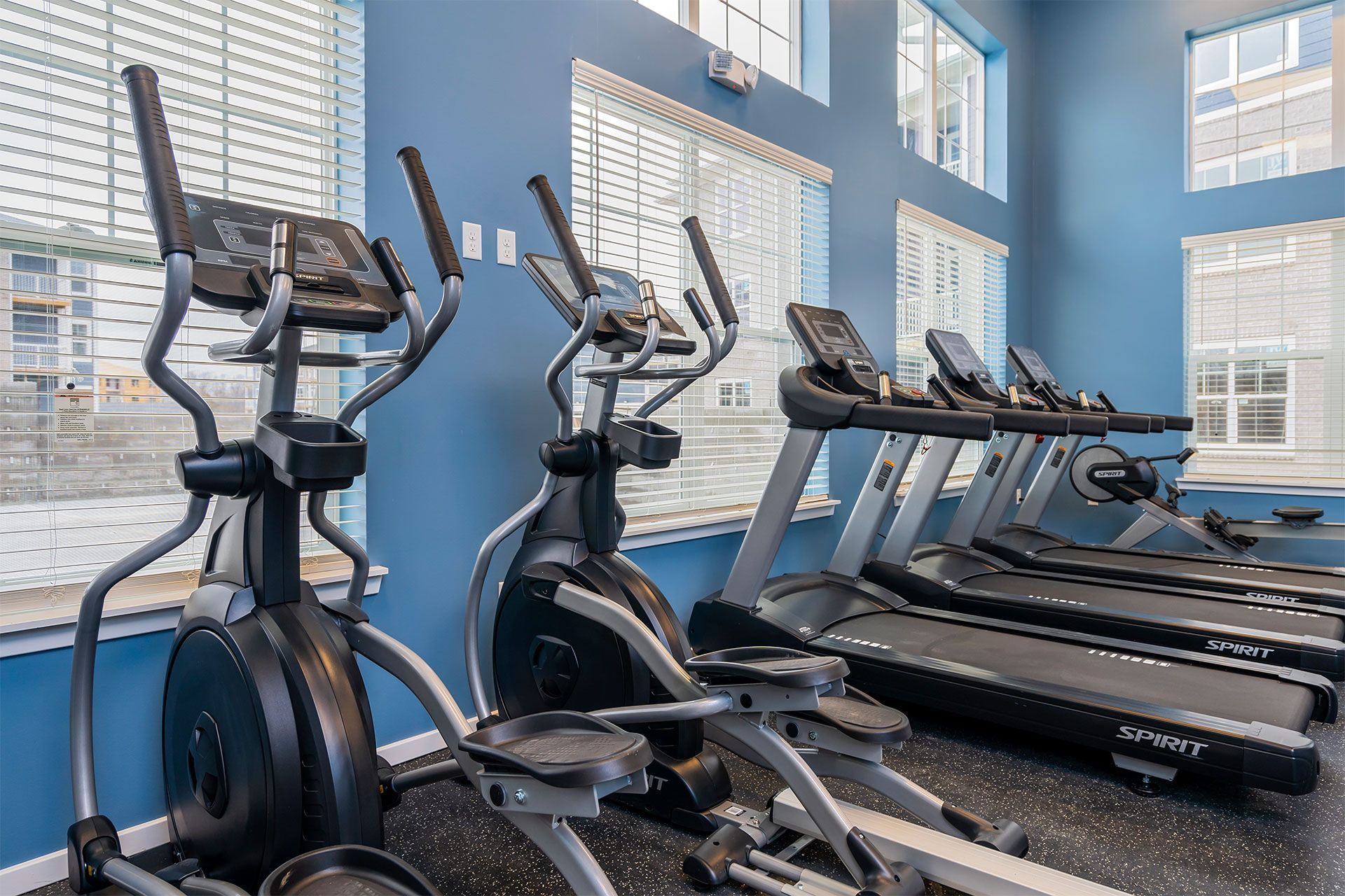 Cardio machines (treadmills and ellipticals) in a bright blue gym with windows.