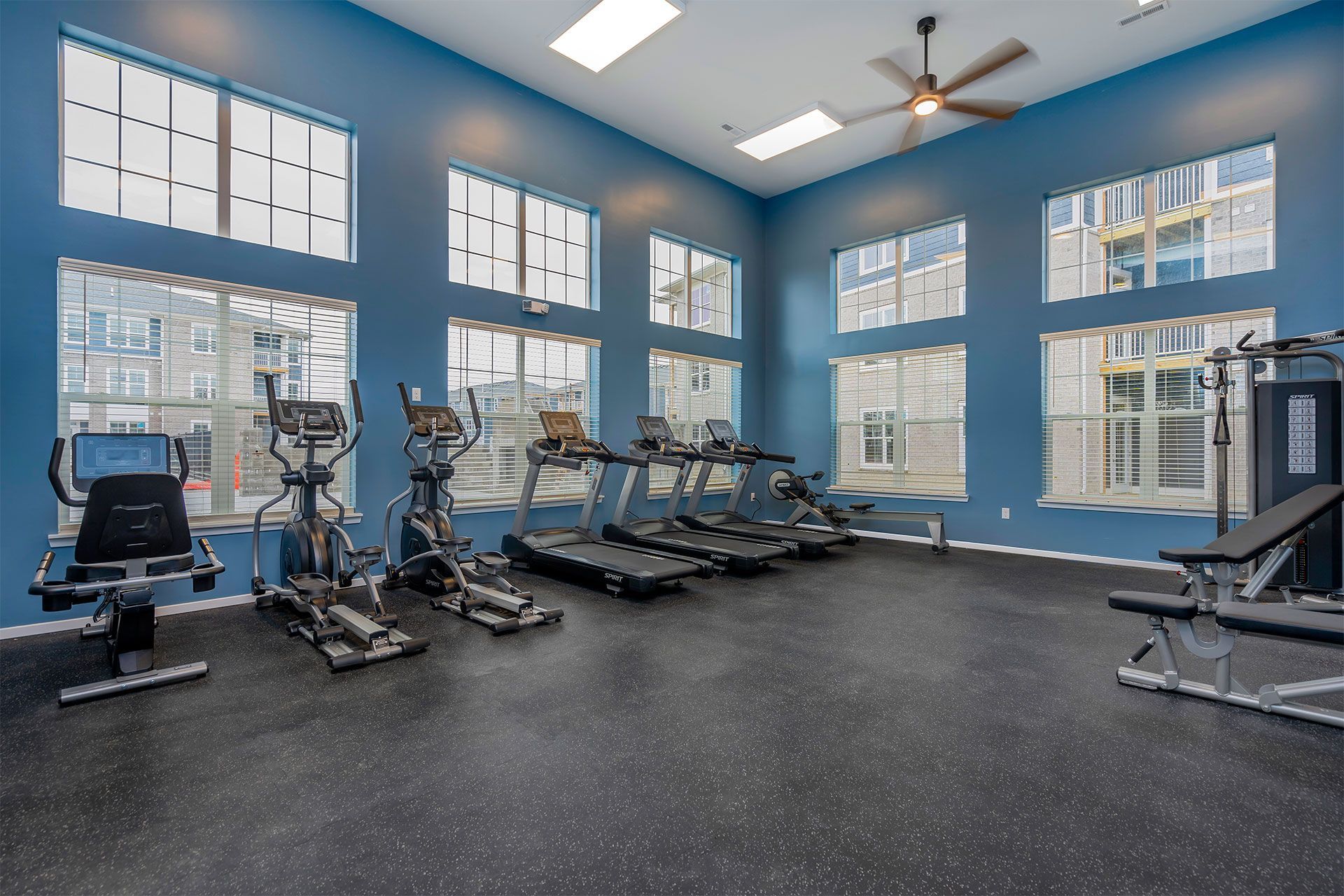 Blue-walled gym with cardio machines and large windows