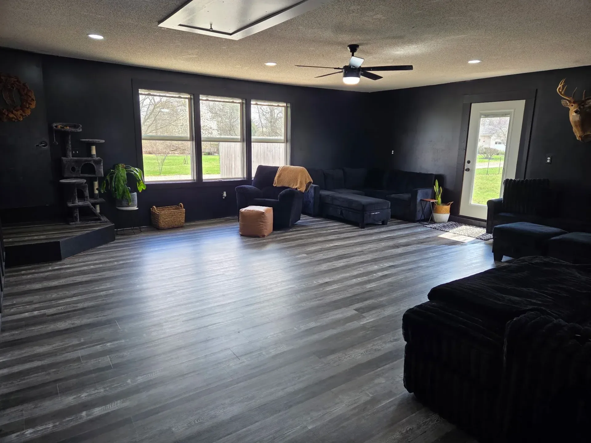 Black-walled living room with black furniture, hardwood floors, and a cat tree. Light shines in from