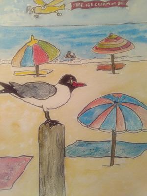 Cartoons And Illustration