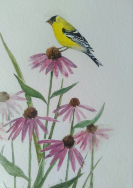 Watercolor Paintings