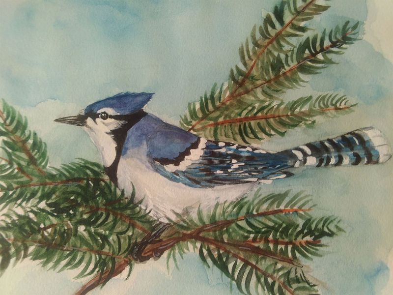 Watercolor Paintings