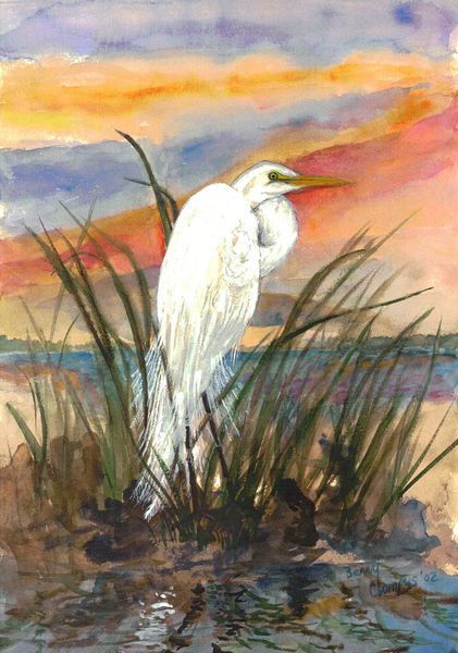 Watercolor Paintings