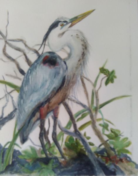 Watercolor Paintings