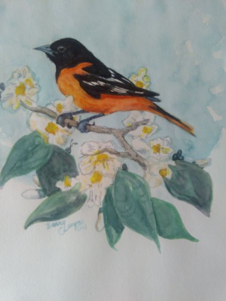 Watercolor Paintings