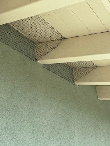 Two cockroaches on a tiled floor near crumbs. One is eating.