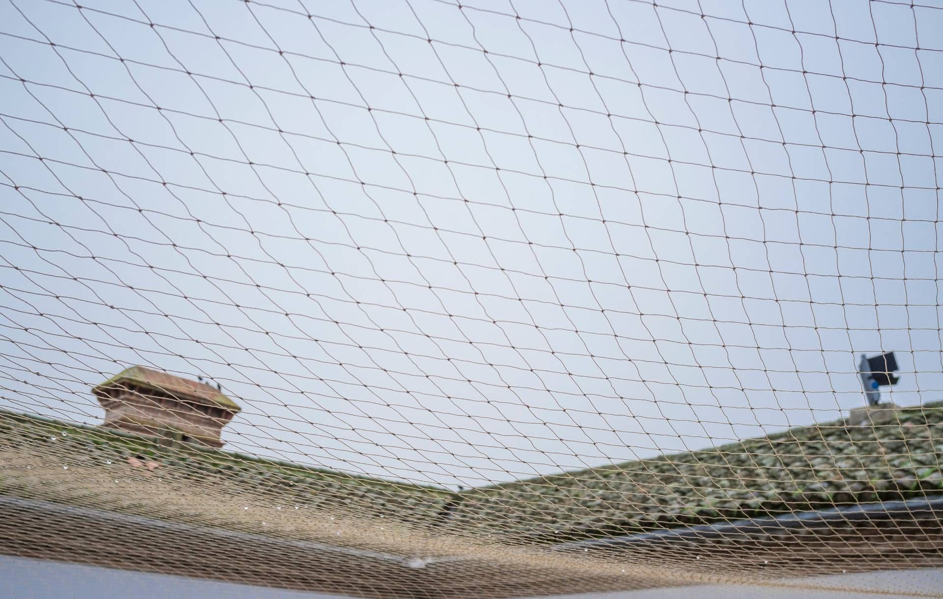 Bird netting stretched across a roof to prevent birds from entering an open-air area.
