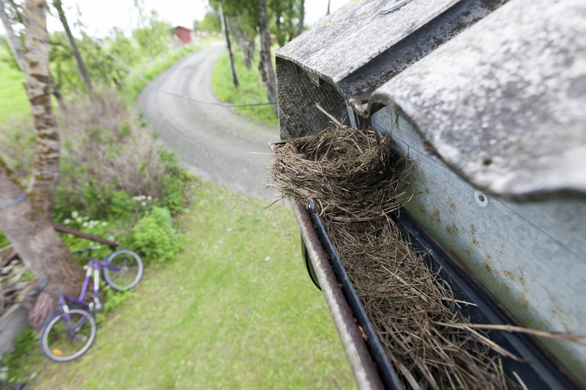 Gutter filled with a bird's nest; overlooking a grassy area, road, and parked bicycle.