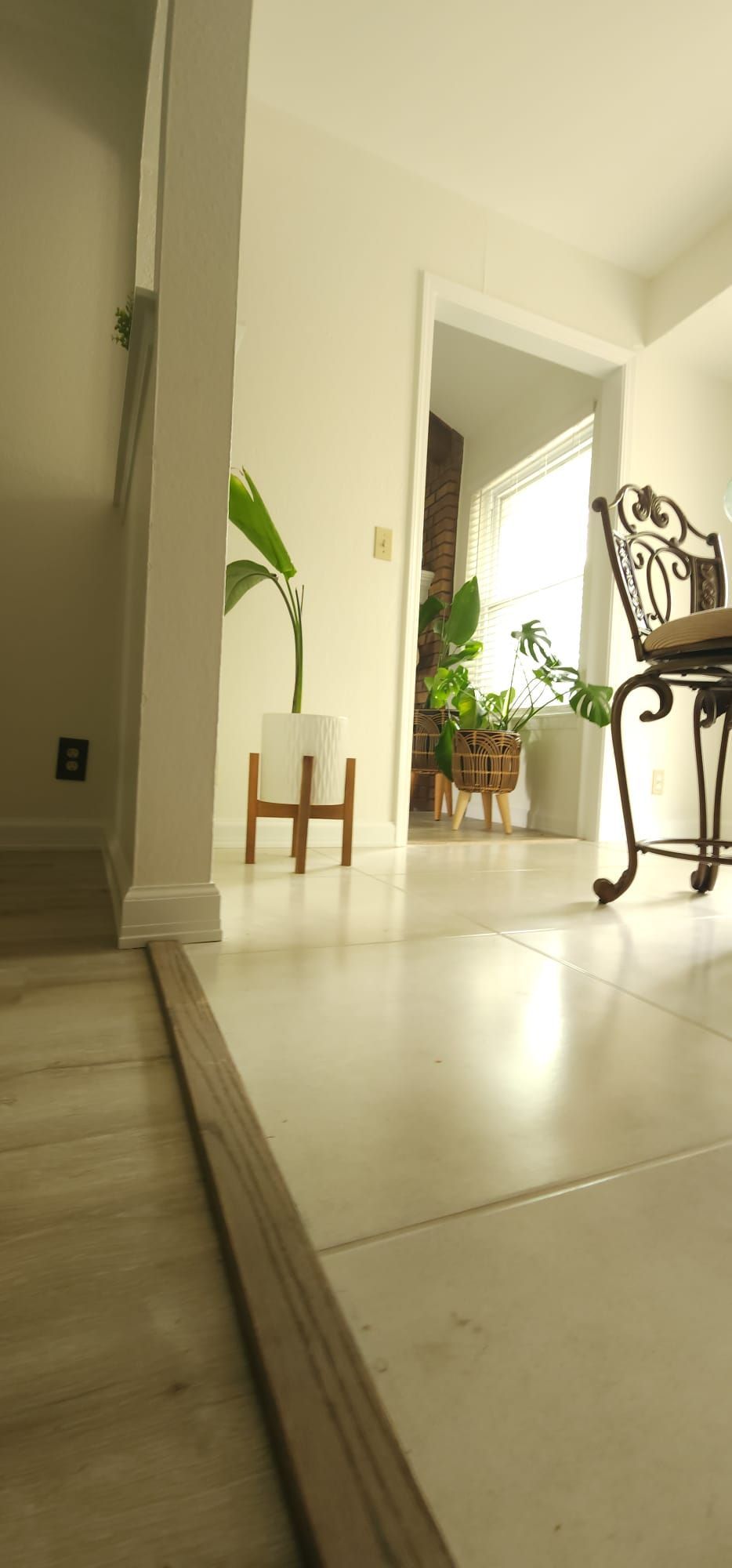 Indoor plants for corner accent – Tulsa, OK - CS Remodeling