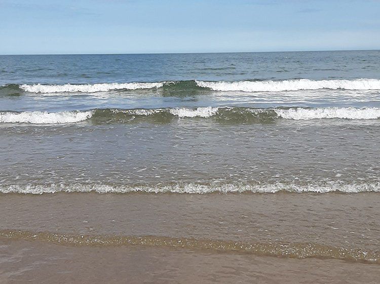 Tillers Self Catering Holiday Cottage, Ebberston, North Yorkshire