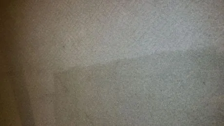 West Unity Berber Carpet Cleaning — Bryan, OH — Sammons Carpet Care