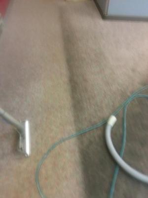 Fall Cleaning — Bryan, OH — Sammons Carpet Care