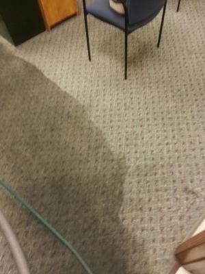 Office Carpet — Bryan, OH — Sammons Carpet Care
