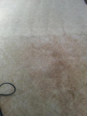 Before And After Carpet Job — Bryan, OH — Sammons Carpet Care