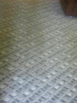 Berber Carpet — Bryan, OH — Sammons Carpet Care