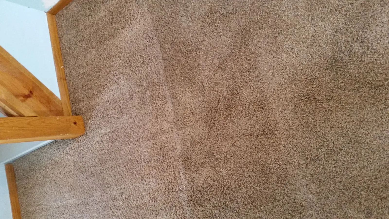 Brown Carpet — Bryan, OH — Sammons Carpet Care