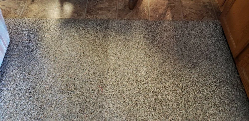 Grey Carpet — Bryan, OH — Sammons Carpet Care