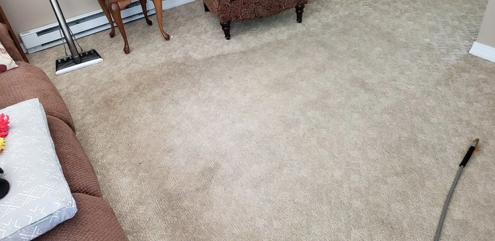 In Progress Carpet Cleaning — Bryan, OH — Sammons Carpet Care