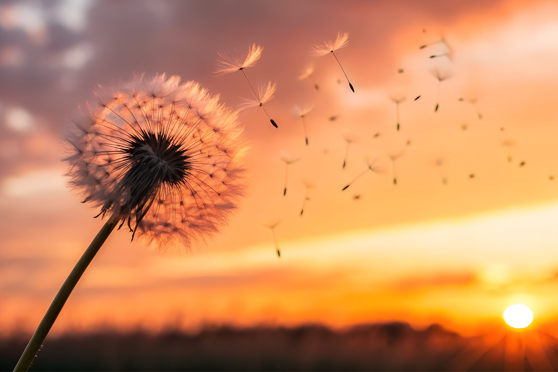 2026 estate tax exemption sunset information